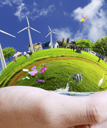 Environment