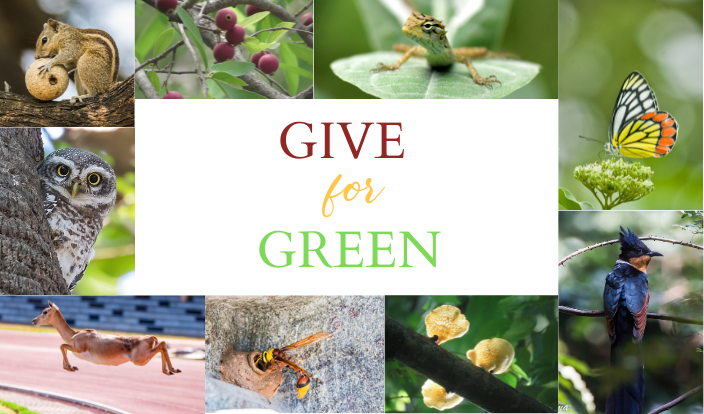 Give for Green