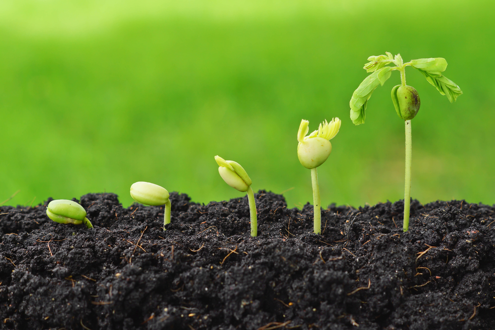 Design & Development of Agricultural Transportation System