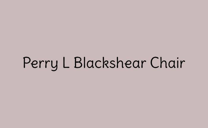 Perry L Blackshear Institute Chair in Biomedical Engineering