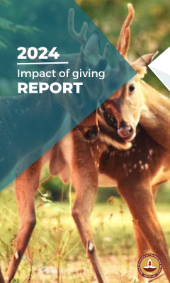 2023 Impact of Giving Reports
